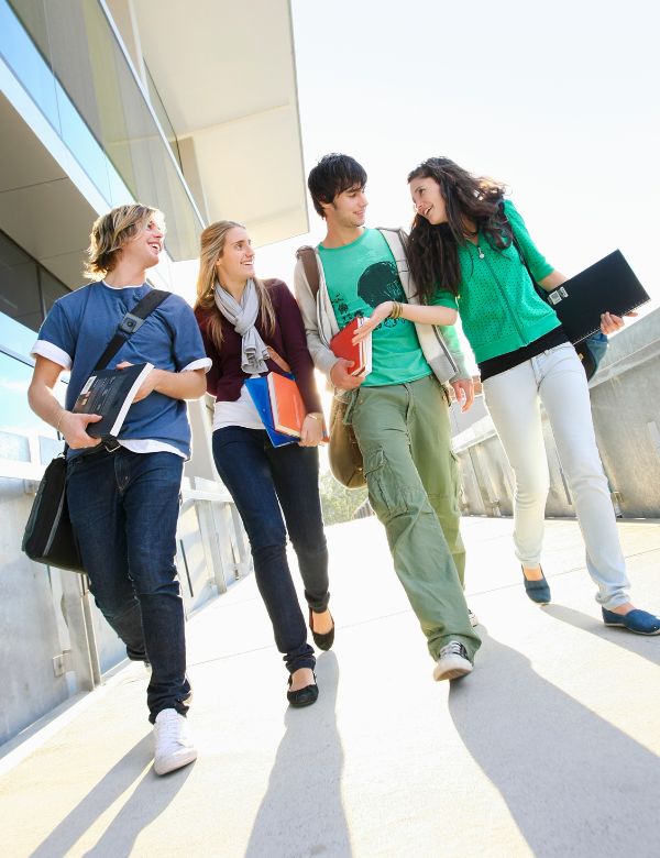 Online Spanish Institute